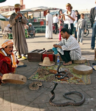Marrakech guided half day excursion in medina,guided Marrakech day trips,private and group excursions