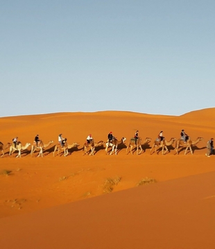 Morocco Bedouin Tours,viaggi privati nel Sahara da Marrakech, escursioni in cammello in Marocco, escursioni nell'Atlante di Marrakech